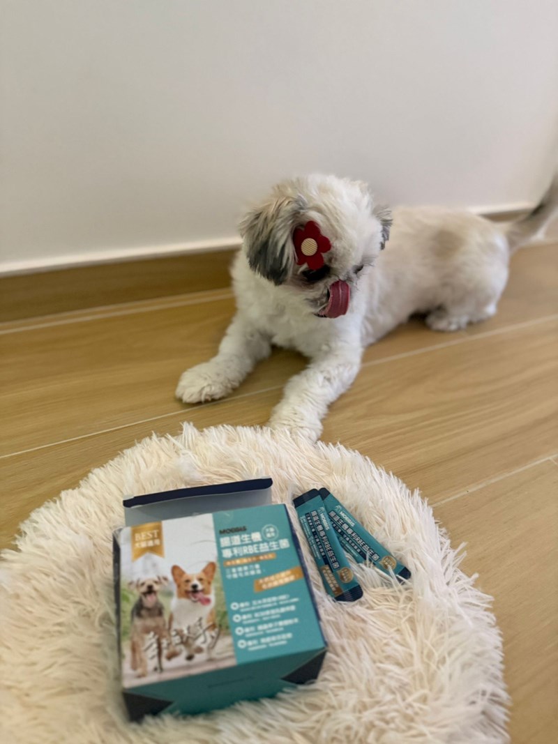 女人知己試用大隊,口碑行銷,部落客行銷,Moegis萌吉 腸道生機專利RBE益生菌,寵物益生菌,專利RBE益生元,專利蔬果酵素,小分子胜肽,藍藻粉,維持免疫力,幫助維持消化道機能,維持正常食慾,改變細菌叢生態,腸胃保健,犬貓適用